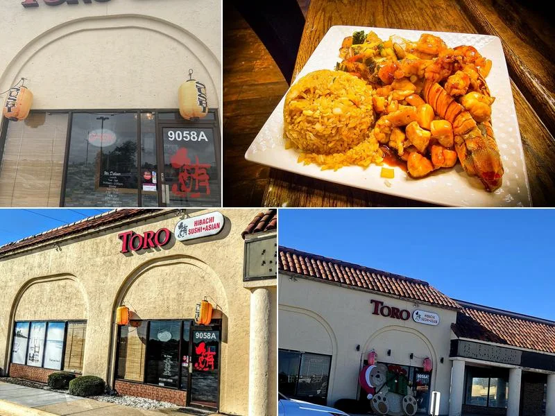 Toro Hibachi Sushi & Asian business photo
