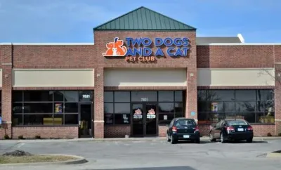 Two Dogs and A Cat Pet Club, business photo 1