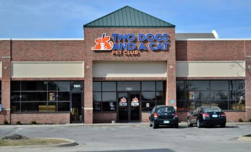 Two Dogs and A Cat Pet Club business photo