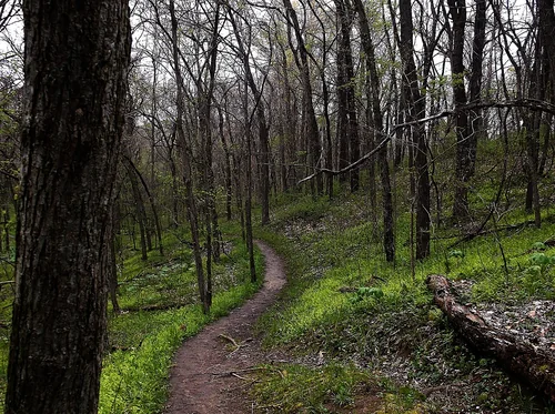 Weston Bend State Park